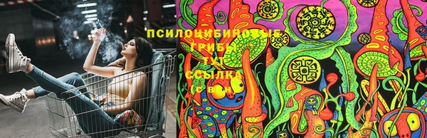 прущая мука Алзамай