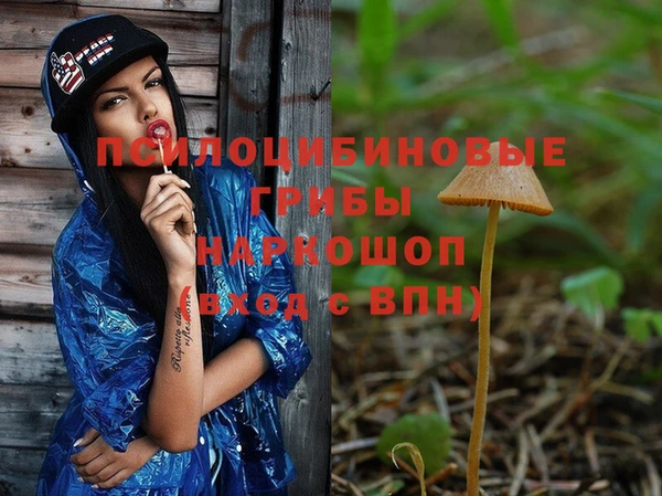 прущая мука Алзамай
