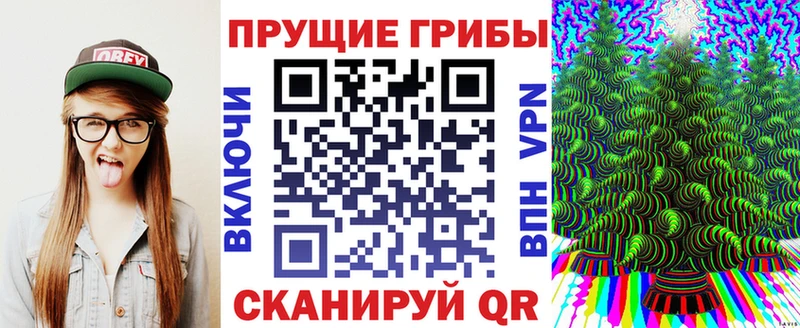 Галлюциногенные грибы Psilocybine cubensis  цены   Ермолино 